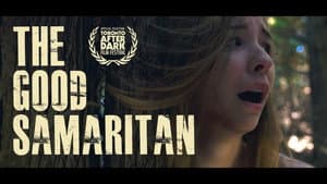The Good Samaritan — foto 1