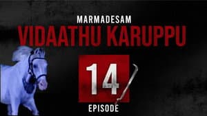 Episodio 14