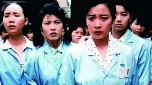 外来妹 — foto 1