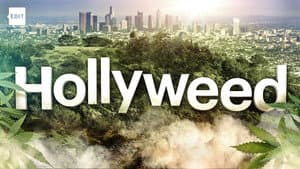 Hollyweed – nu även i Sverige? — foto 1