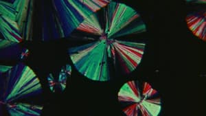 Crystallization — foto 3