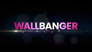 Wallbanger — foto 3