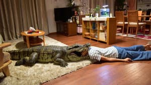 家に帰ると妻が必ず死んだふりをしています。 — foto 2