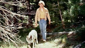 The Flight of the Grey Wolf — foto 1