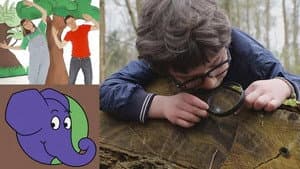 Episodio 293