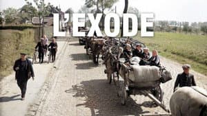 Episodio 16
