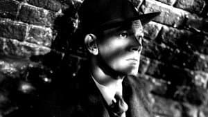 Shadowing the Third Man — foto 1