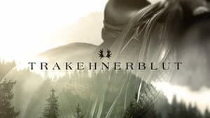 Trakehnerblut — foto 2