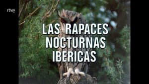 Episodio 78