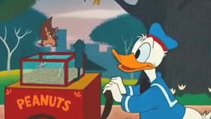 The Flying Squirrel — foto 1