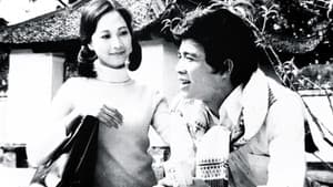 Hà Nội mùa chim làm tổ — foto 1