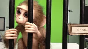 Monkey Love Experiments — foto 1