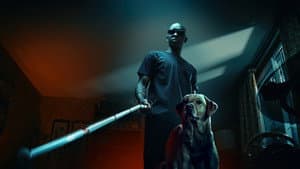 El rey de las sombras — foto 2