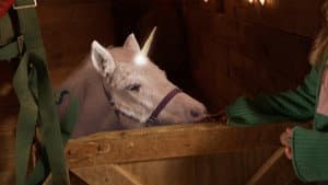 A Unicorn for Christmas — foto 3
