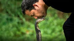 David Blaine Do Not Attempt — foto 7