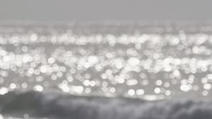 A Certain Place of Mind — foto 1