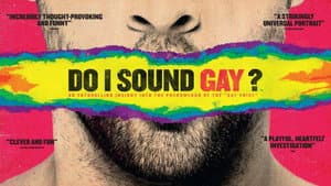 Do I Sound Gay? — foto 7