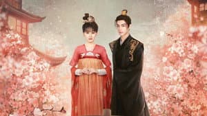 与君无间 — foto 1