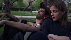 Cupido confuso — foto 1