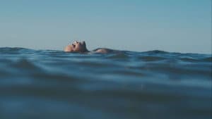 Un homme à la mer — foto 1