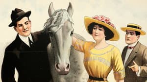 Arabia: The Equine Detective — foto 1
