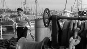 È sbarcato un marinaio — foto 5