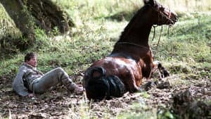 Życie jako śmiertelna choroba przenoszona drogą płciową — foto 10