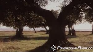 Il pianeta acciaio — foto 1