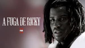 Run Ricky Run — foto 2