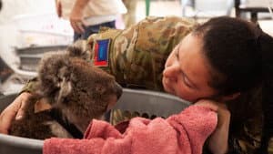 Bushfire Animal Rescue — foto 1