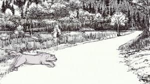 Puma, le fantôme du Gévaudan — foto 7