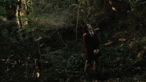 Kudzu — foto 1