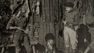 Outwitting the Timber Wolf — foto 1