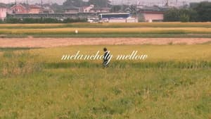 melancholy mellow — foto 9