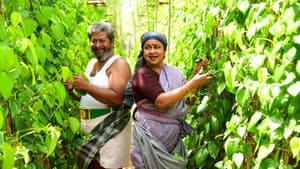 பட்டத்து அரசன் — foto 10