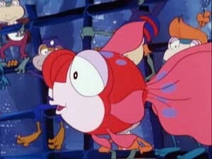 Episodio 13