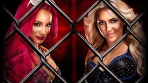 WWE Hell in a Cell 2016 — foto 1