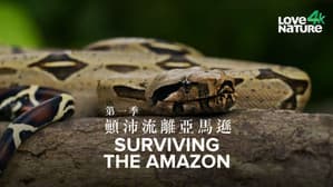 Surviving the Amazon — foto 1