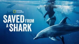 Saved From a Shark — foto 8