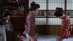 四畳半襖の裏張り　しのび肌 — foto 2