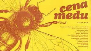 Cena medu — foto 2