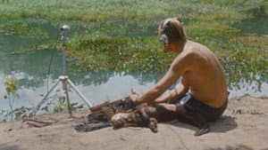 Episodio 1