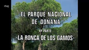 Episodio 66