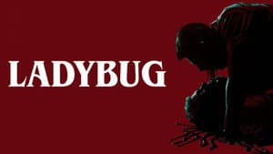 Ladybug — foto 3