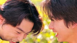 若葉のころ — foto 1