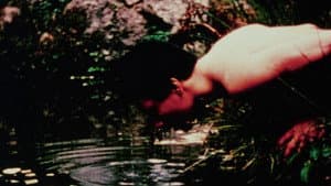 Jerovi — foto 2