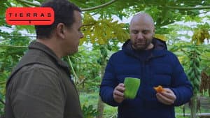 Episodio 5