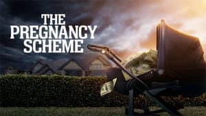 The Pregnancy Scheme — foto 1