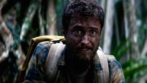 Jungla — foto 3
