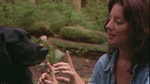 Sarah McLachlan: A Life of Music — foto 1